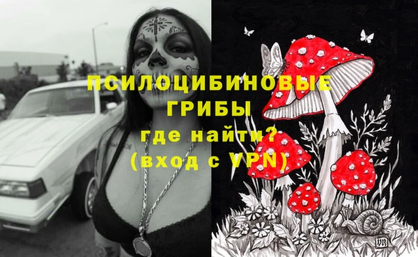 мдпв Арсеньев