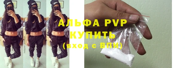 СК Аркадак