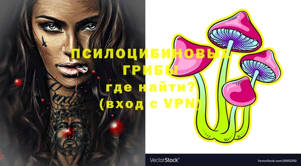 мдпв Арсеньев