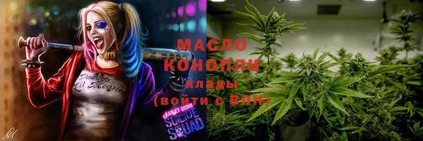 молекула духа Балахна