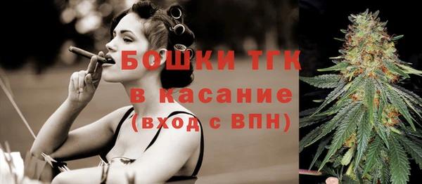 СК Аркадак