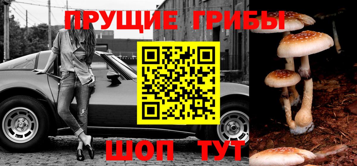 Ессентуки  Галлюциногенные грибы Magic Shrooms  Вход с VPN 